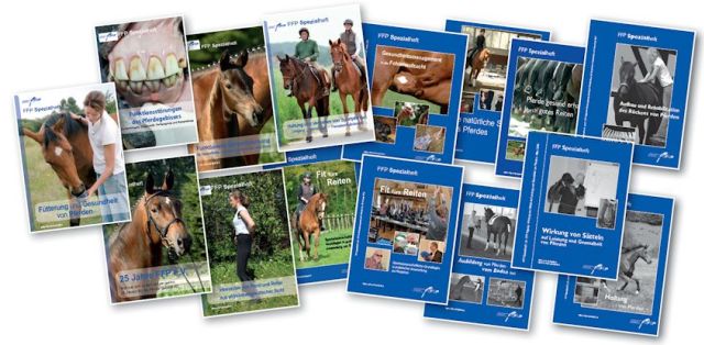 Verschiedene Titelblätter von Print- und Onlinepublikationen der letzten 10 Jahre